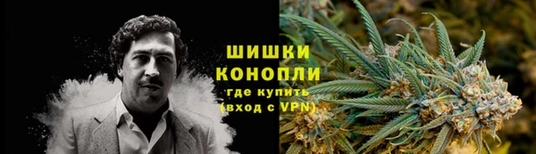 ПСИЛОЦИБИНОВЫЕ ГРИБЫ Протвино