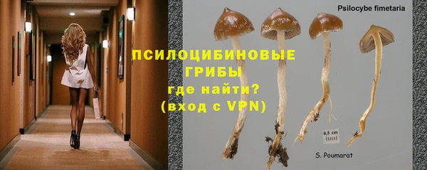 дмт Балабаново