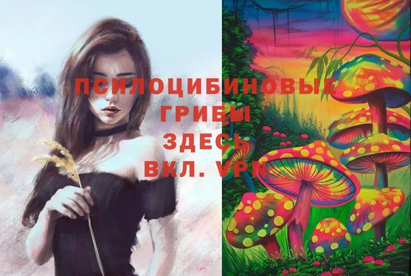 амф Пролетарск