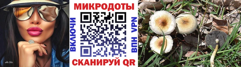 Галлюциногенные грибы ЛСД  Барыш 